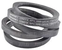  SPC3000 Pas Continental 880077536300.01