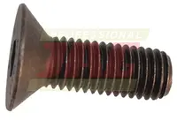  Śruba 236303.01