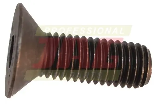 Śruba 236303.01
