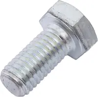  Śruba 244387.01