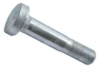  Śruba 3384620M1.01