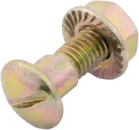  Śruba kosy z nakrętką H158342.01