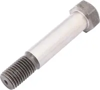  Śruba pasowna 216448.01