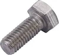  Śruba specjalna 216670.01