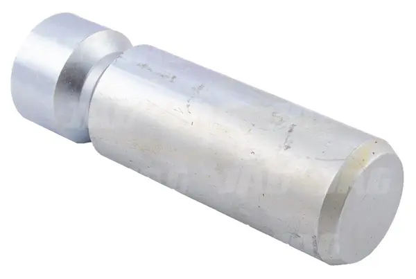 Sworzeń 30x100 L166724.01