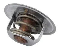  Termostat 02100071.01