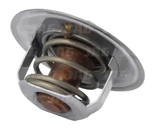 Termostat 02100071.01