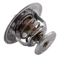  Termostat 02100192.01