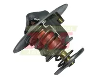  Termostat 02300056.01