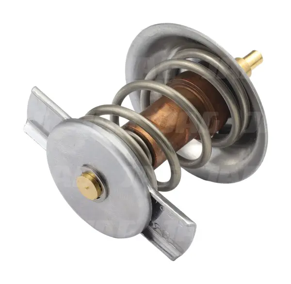 Termostat 04197853.01