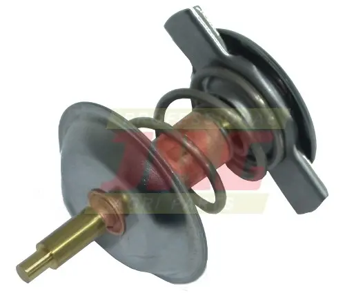 Termostat 04204796.01