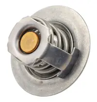  Termostat 143-363.01