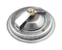  Termostat 14462128M91.01