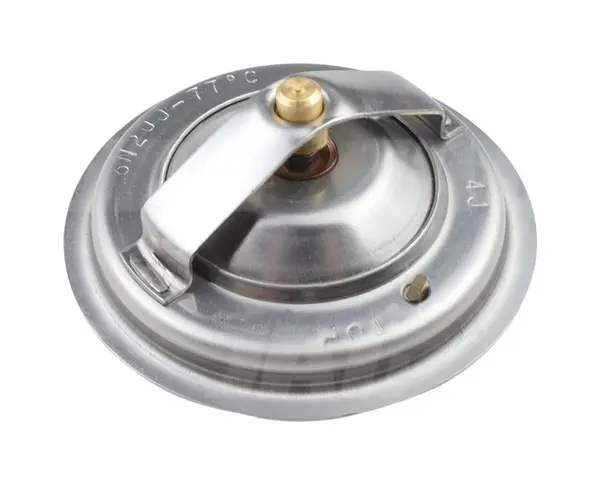 Termostat 14462128M91.01