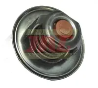  Termostat 162000060701.02