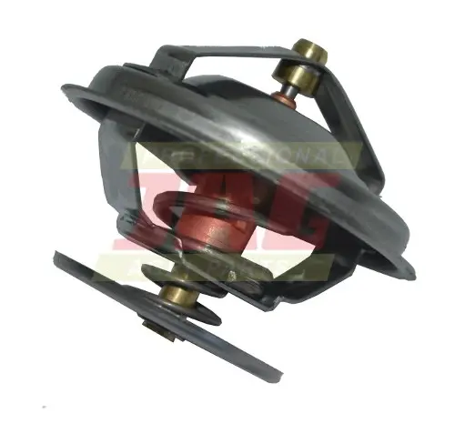 Termostat 162000060702.01