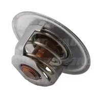  Termostat 1888684M1.01