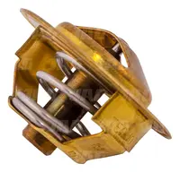  Termostat 2485C021