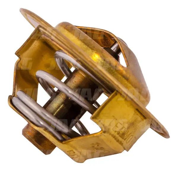 Termostat 2485C021