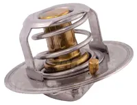  Termostat 2485C022