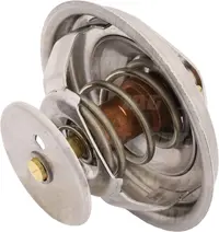  Termostat 4224639M1.01