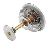  Termostat 50513090.01
