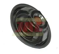  Termostat 80005902.01
