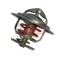  Termostat 87608577.01