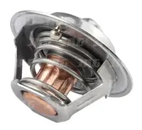  Termostat AR48675.01