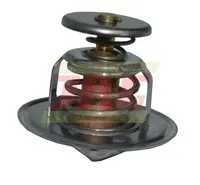  Termostat RE501622.01