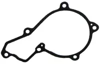  Uszczelka pompy wody R119383.01