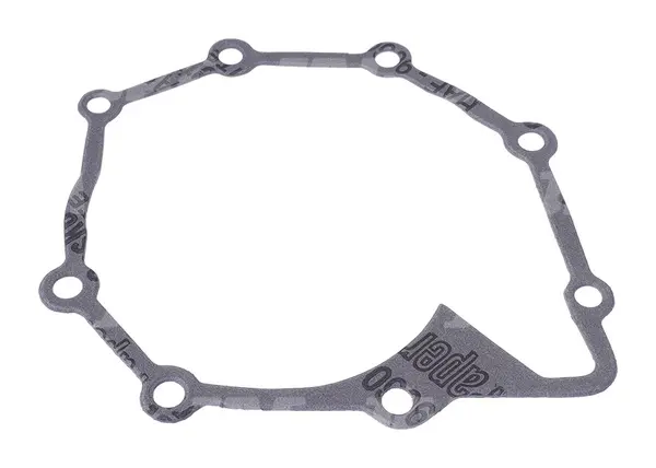 Uszczelka pompy wody R123417.02