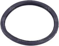  Uszczelniacz termostatu R521548.01