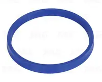  Uszczelniacz wariatora 80441290.01