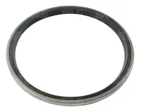  Uszczelniacz wariatora jazdy AH12466.01