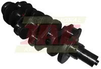  Wał korbowy JD POWERTECH 4.045 D/H/T ( 4.5 L )  4-cyl RE504638.01