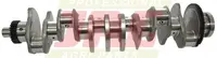  Wał korbowy JD POWERTECH 6081 ( 8.1 L ) RE55522.01