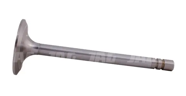 Zawór ssący R51735.01