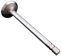 Zawór wydechowy R52252.02
