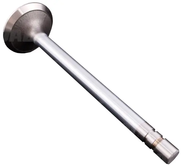 Zawór wydechowy R52252.02