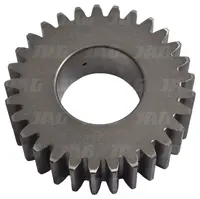  Zębatka planetarna Z29 N13513.01