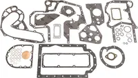  Zestaw uszczelek silnika dół 3136802R98.01